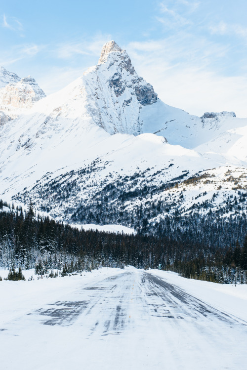 nathanielatakora: Hilda Peak