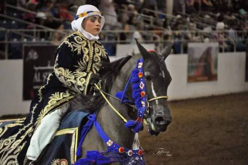 itsdetachable:mango-pup:all-the-horses:DA Remote ControlTriften x DA AddictionPartbred Arabian, Mare