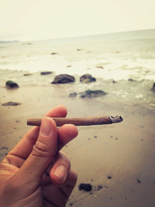 stonerthings:  Beach blunts, gorgeous submission from twitter.