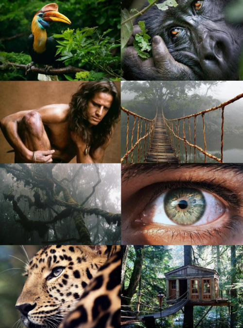 mypieceofculture:Disney Hero Aesthetics // TarzanI want to know about the strangers like meJohn Smit