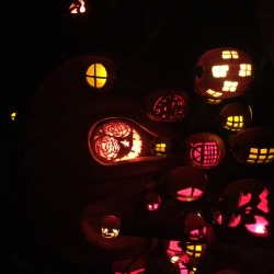 betterofallevils:  Pumpkin Display Part 2