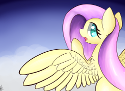 kawaiipony2:  Speedpaint - Fluttershy  Time - 1 hour Was a bit sloppy on the colors on this one since I was running out of time. The focus of this exercise was wings!  &lt;3