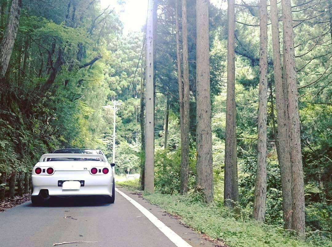 日本国内の自動車