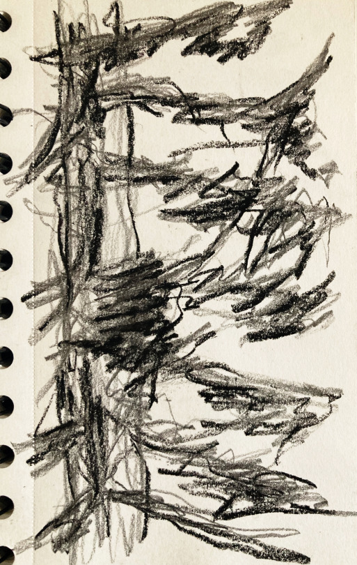 Eyes MeltingIve Been On Tree Studies In Bulgaria, Felt Like Showing Something Of It To You: