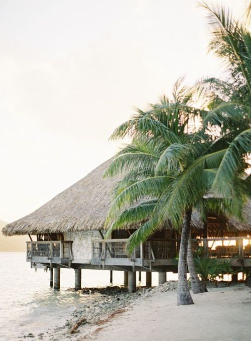 underthepalms: bora bora