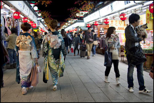 Of kimonos and small dogs