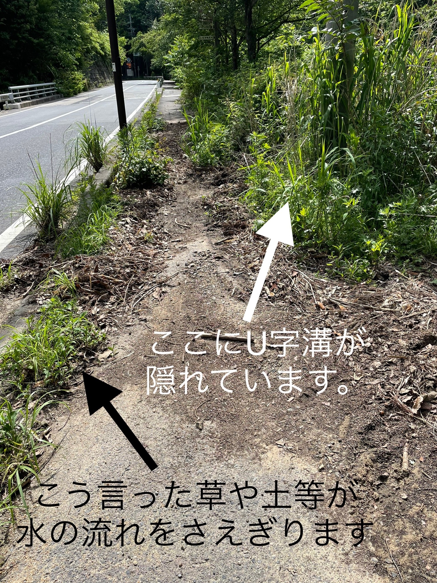 フサオマキザル Explore Tumblr Posts And Blogs Tumgir フサオマキザル Explore Tumblr Posts And Blogs Tumgir