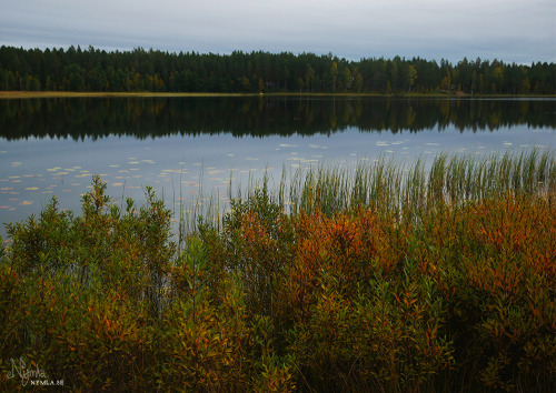 Autumn at the lake by the cabin a few weeks ago