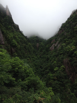 90377:   Huangshan (Yellow Mountain) - Foggy