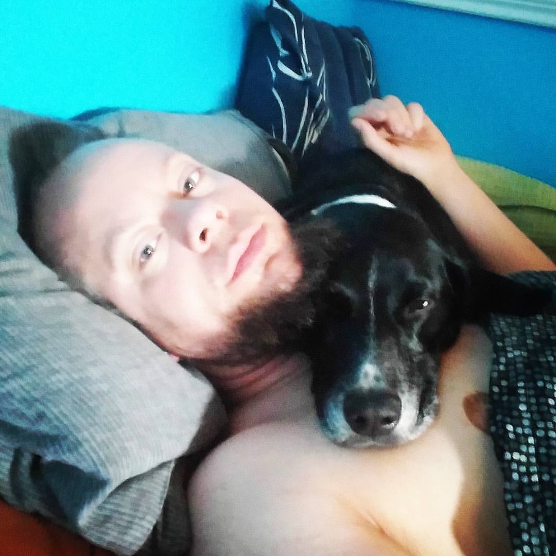 miniar:  Guess I’m not allowed to get up yet. #Fedora #ég #mutt #muttlove #lazydog