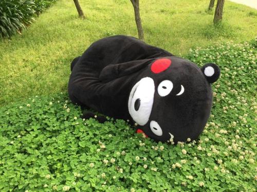 kumamonfan:  clover 