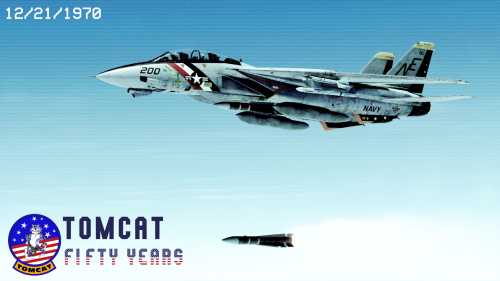 tomcat