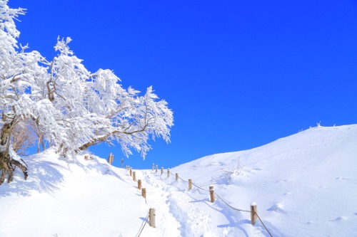 Mountain climbing JAPAN