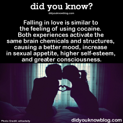 did-you-kno:  Falling in love is similar to the feeling of using cocaine. Both experiences activate the same brain chemicals and structures, causing a better mood, increase in sexual appetite, higher self-esteem, and greater consciousness.  Source