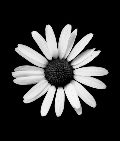 rememberless: Photo taken and edited by me