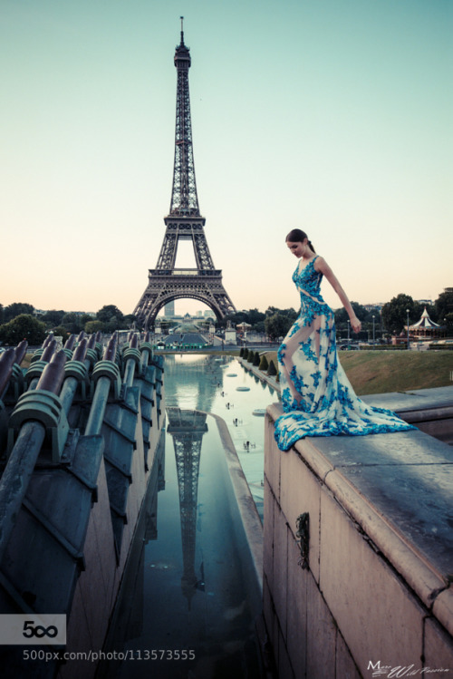 photografiae:  Good morning by marcwildpassion || http://ift.tt/1KmnR4k