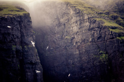 givncvrlos:  Green Cliffs, Faroe Islands | Jan Erik Waider 