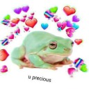 frog-inthebog avatar