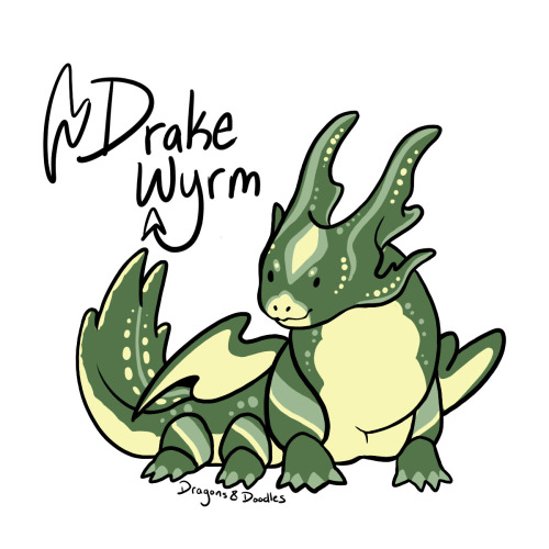 dragonsndoodles: Wormwyrm number 5, the Drake wyrm! Wyrms of this type claim to have dragon ancestor
