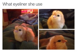 ohhhhthatburns:what eyeliner she use