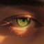 theyseeeveryone