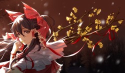 akira-europe:  hakurei reimu nye touhou | #311062 | yande.re