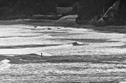 &ldquo;Shark Bait&rdquo;Oh the shark has, pretty teeth dearAnd he keeps them, pearly white Oregon Coast just south of Gold Beach-jerrysEYES