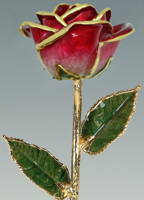 sosuperawesome: Real Preserved Roses Trimmed with Gold / Dipped in GoldLiving Gold Co on EtsySee our