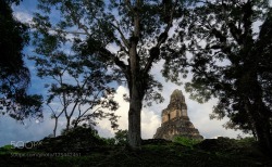 socialfoto:  Tikal! by edtsousa #SocialFoto