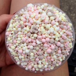 dippin dots will forever be my favorite thing