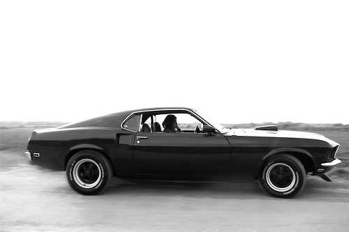 easyhey:  pure muscle
