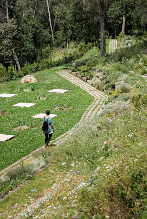 PATH OF THE FOREST Roques Blanques, el papiol, BarcelonaBy BatlleiroigPhotos by Jordi Surroca“