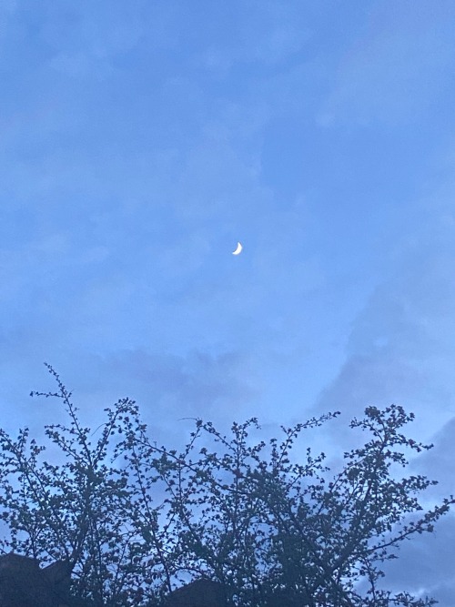 // Sky Of Dreams
