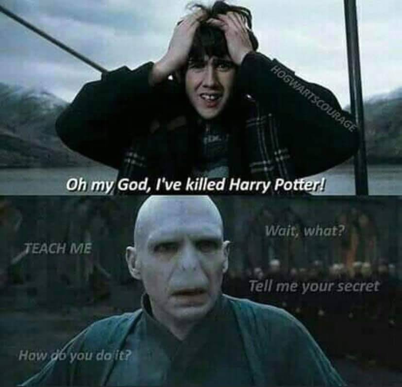 Harry Potter Memes For Those Still Waiting For Their Hogwarts