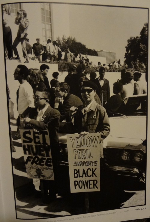 disciplesofmalcolm:  Asian American Political Alliance showing support for the Black Panthers, Alameda County Courthouse Oakland, CA  Taken from “Black Panthers: 1968” by Howard L. Bingham  
