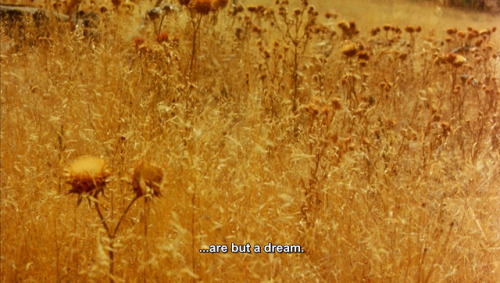 filmsby:Picnic at Hanging Rock (1975) dir. Peter Weir 