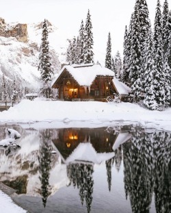 upknorth: When snow falls, nature listens. - A. Van Kleeff.       #getoutdoors #upknorth Surrounded by winter silence on Emerald Lake. Stunning shot by @tiffpenguin  (at Emerald Lake Lodge) 