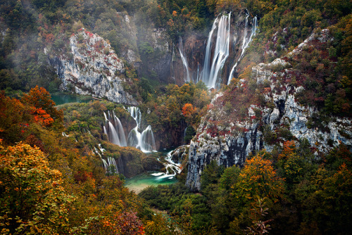 a-precis:  nubbsgalore:  the interconnected and cascading lakes and waterfalls of croatia’s plitvice national park. photos by (click pic) maurizio biancarelli, lee duguid, dominik kirner, sinisa klekovic and andrea pozzi  GUYS, IVE BEEN HERE