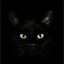 deathbymeow