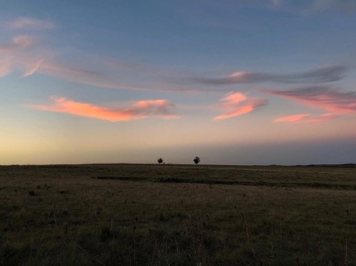 . . . #uruguay #igersuruguay #garzon #sunset #dusk #pueblogarzon #campo #campoair #twotrees #country