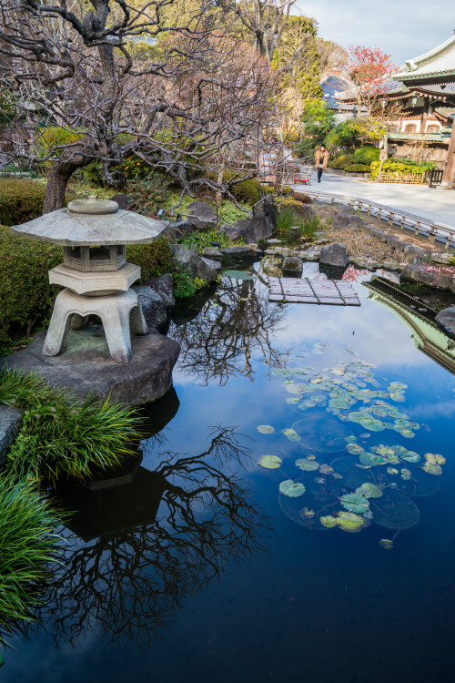 Kamakura TempleBy : Ray Muzyka(Do not remove credits)