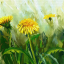 deltaflowers