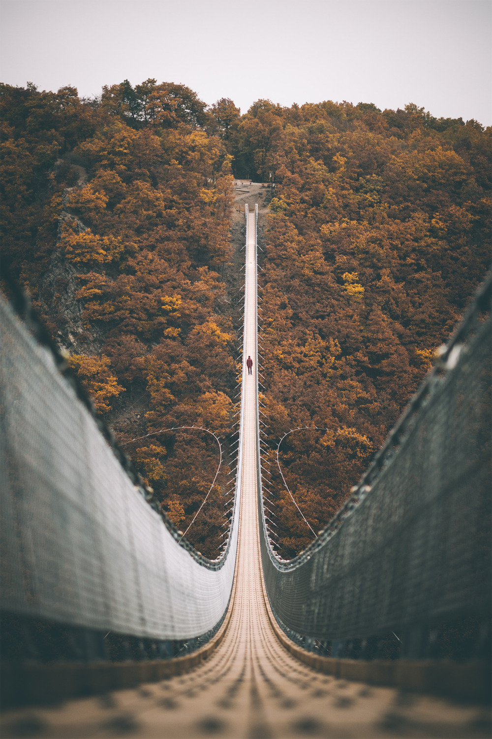 w-canvas:  Perspectives by Johannes Hoehn 