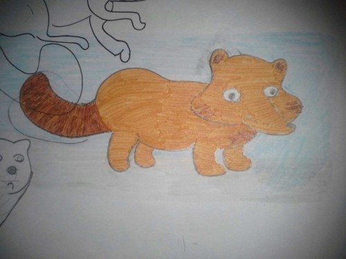 Animals. I Like Them. ;o