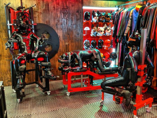 rubberforfun: So busy 😥 #rubber #latex #fetish #bdsm #bondage #playroom #redroom #rubberforfun #forfun #puppy #puppyplay #dog 