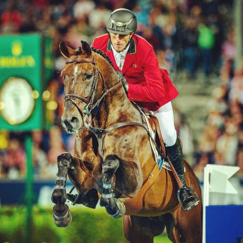 #gregorywathelet #aachen #chioaachen2017 #nationscup #rider #professional #equestrian #showjumping #