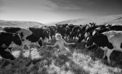 bovin3rotica:Cow Whisperer by FlaviaNudes