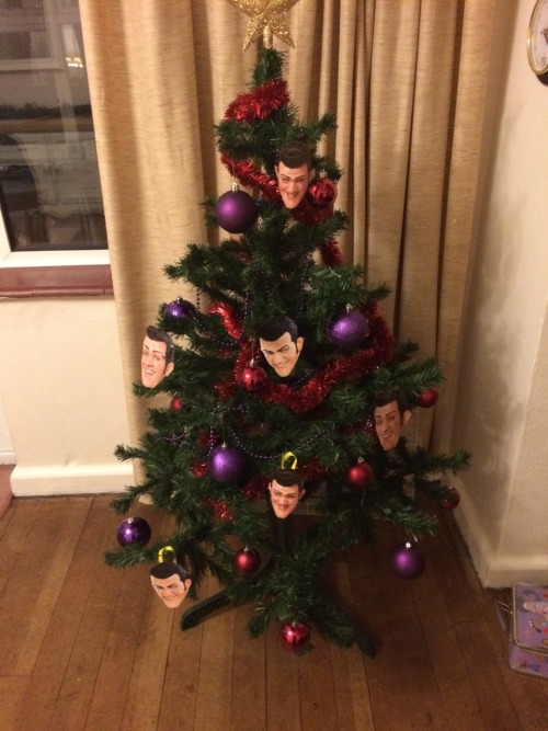 colourfulcyclops: Here’s a little lesson in Christmas trees, this is going down in history