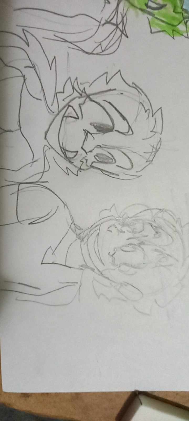 Toto And Boco