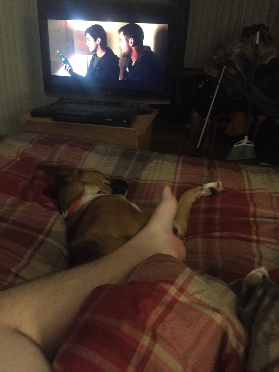 Watching movies, cuddling Freya and sipping on some 150th anniversary Jack Daniels.